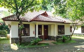 Cico Resort